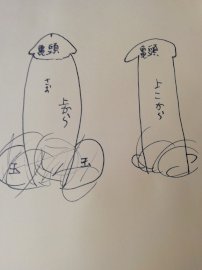 中学3年です。 勃起した時ちんこが 亀頭と根元は細く真ん中だけ太いの- その他（性の悩み） |