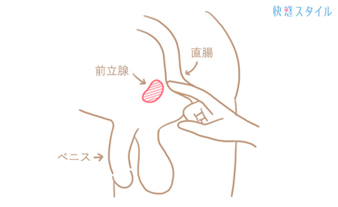 会陰オナニーとは？やり方・ドライオーガズムのコツ・開発方法を解説！｜駅ちか！風俗雑記帳