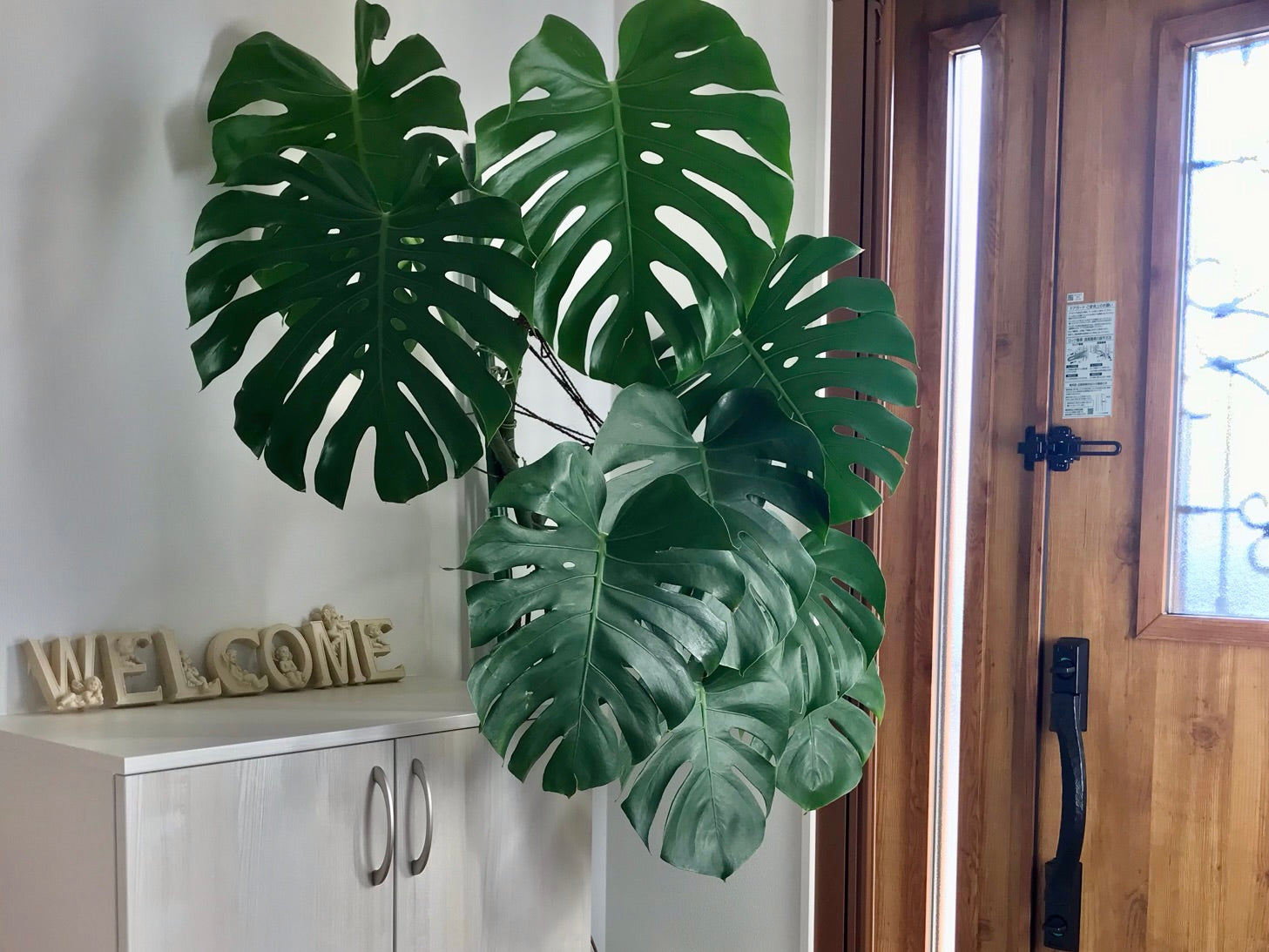 おしゃれな玄関は幸運を呼ぶ♡風水から見るおすすめの置物や鏡の位置COVEARTH MAGAZINE