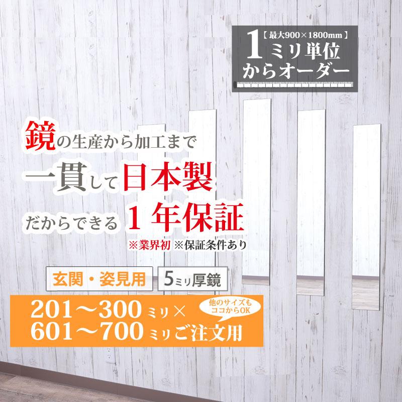 かがみどっとねっと 玄関鏡 姿見 最大90×180cmまで サイズが選べる 日本製 ガラス 100-200 mm × ご注文用 小さいサイズ 大阪鏡販売 1年保証 : 鏡専門店 かがみどっとねっと ヤフー店 - 通販 - Yahoo!ショッピング