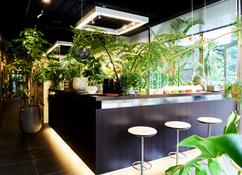 姫路 おしゃれなセレクトショップ「フィールザグリーン」観葉植物&庭木がずらり！兵庫県はりまエリア 姫路・加古川など の地域情報サイトTANOSUタノス