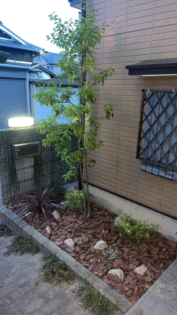 もう予算がない お金をかけない庭づくりとは？安くておしゃれ、かつ失敗しない方法を徹底解説庭ファン