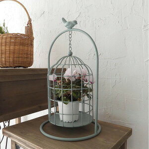 100均DIY ダイソー・アイアン製の鳥かごアレンジ🕊 Daiso iron birdcage arrangesment🕊