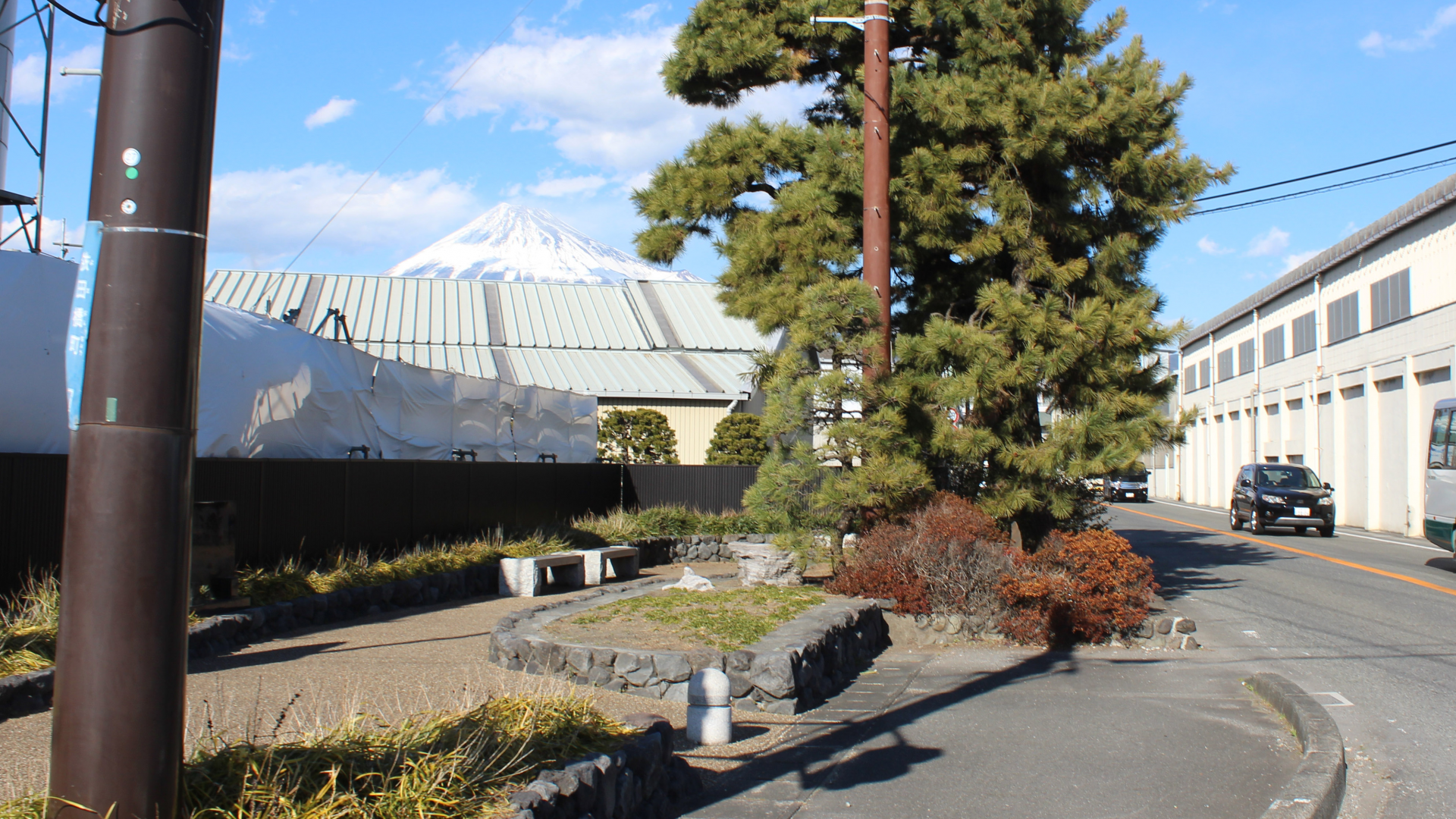 吉原 さくら - 日本経済大学