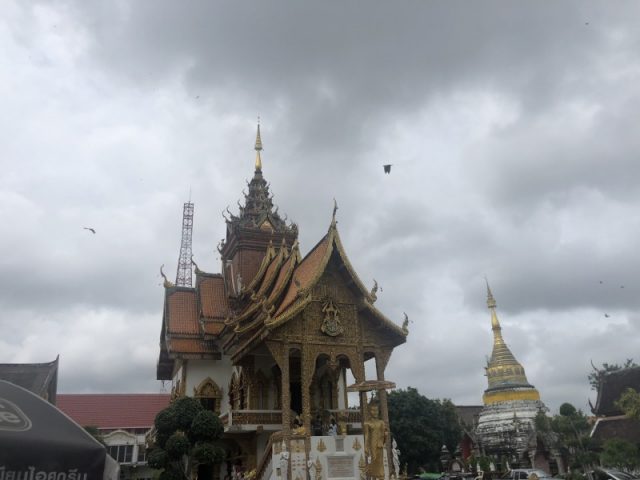 特集「バンコク建築案内」②これから注目のタイの建築家たちと暮らす -toklas