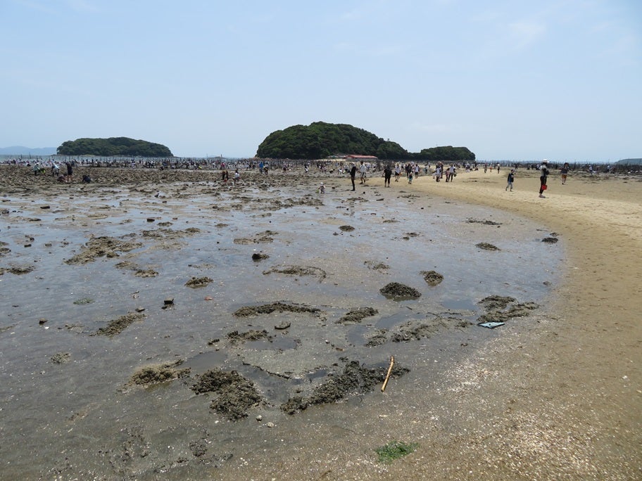 広島】うさぎの島🐇大久野島への玄関口！忠海港 | Trip.com