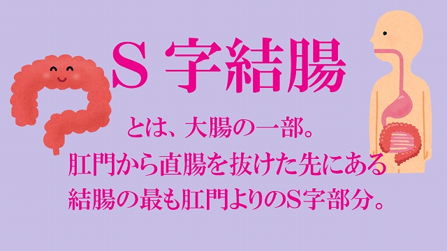 腸内拡張・S字結腸超え・アナル拡張】触手のような超ロングディルドが埋没、S字結腸超えの苦痛と快感を体験する  真性アナルマニア女優27名＆衝撃の無料レア映像