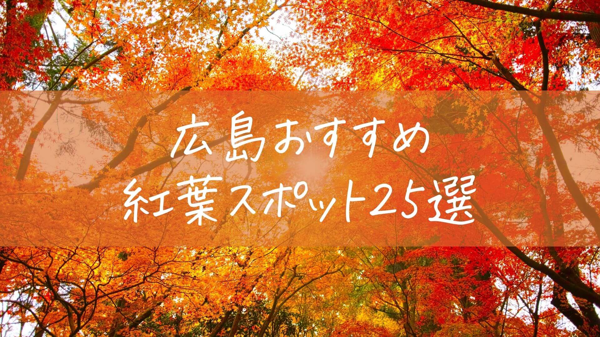 埼玉県の絶景紅葉スポット6選！定番から穴場までさまざまなスポットを紹介 ｜紅葉名所2024