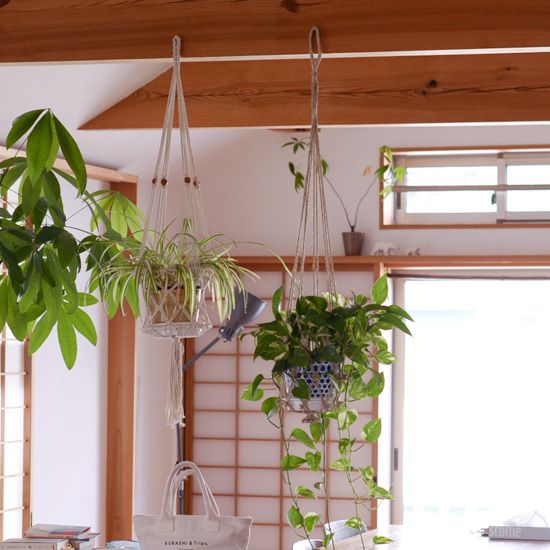 観葉植物をマンションでも吊り下げて楽しむ方法。 - 北欧、暮らしの道具店