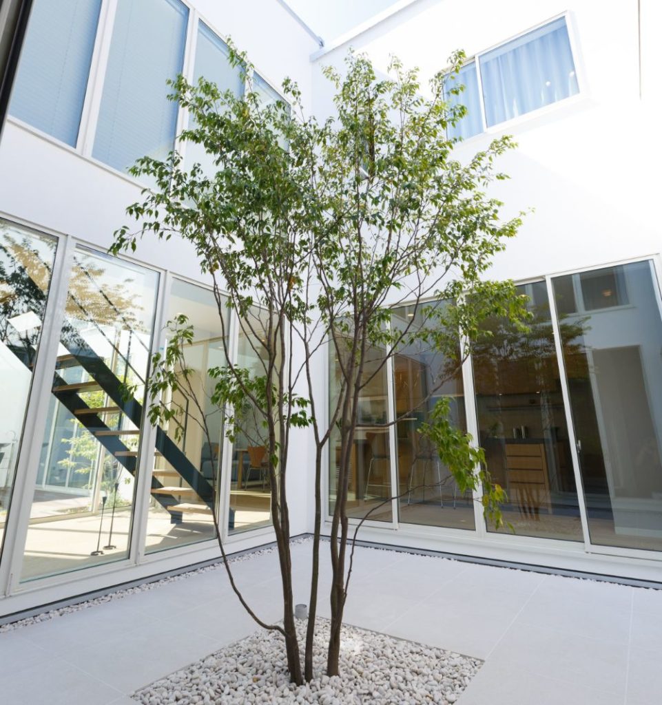 室内のシンボルツリーniwa-kura
