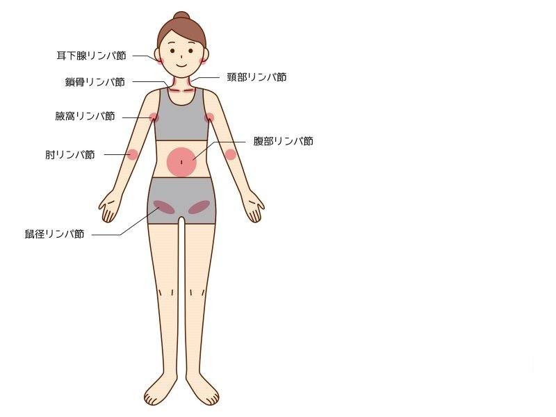 膝裏＆鼠径部の「深部リンパ流し」で足のむくみ改善、ほっそり美脚に！ ｜ からだにいいこと