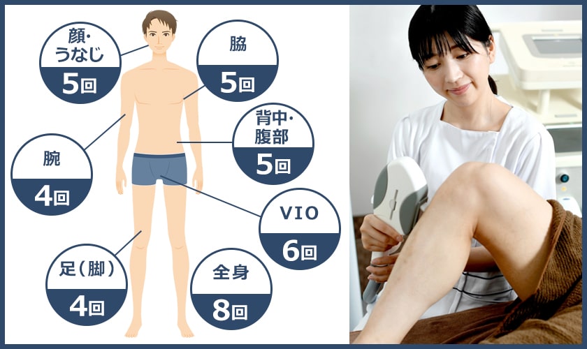 脱毛をするメンズは知っておくべき【毛周期】について｜理想のツルスベ肌になるために | DCOLLECTION×COSME