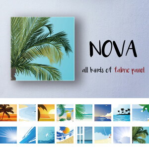 Amazon.co.jp: ハワイ諸島 オーナメント オブジェ インテリア 壁飾り 壁掛け 雑貨 モビール : おもちゃ