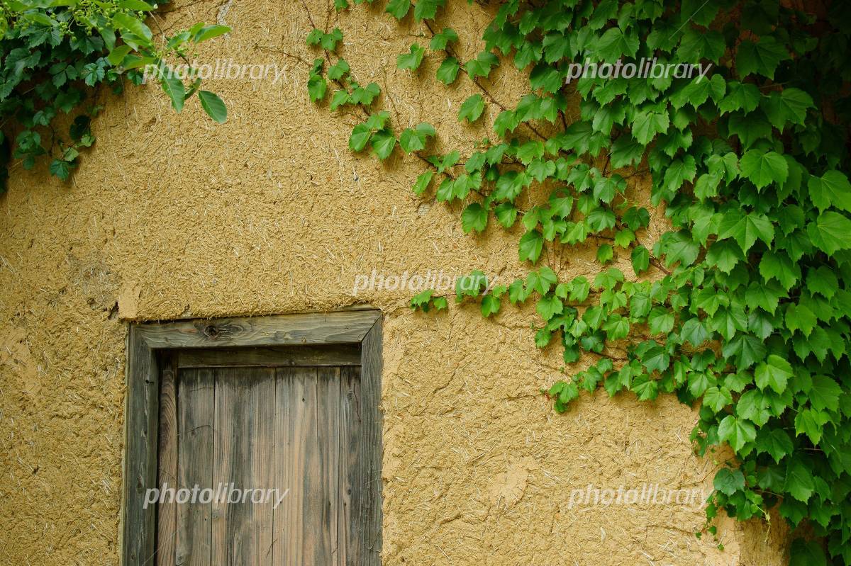 板の壁に這うツタの葉の無料の写真素材 - ID.74387フリー素材 ぱくたそ