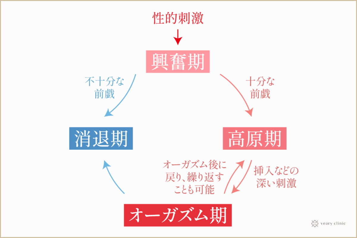 正しい前戯と性交痛を理解して女性の満足度を高める努力を！｜竹越昭彦院長コラム【浜松町第一クリニック】