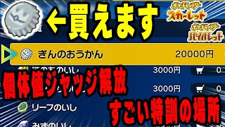 ポケモンSV】王冠の集め方と使い道｜きんのおうかんとぎんのおうかん【スカーレットバイオレット】 - アルテマ