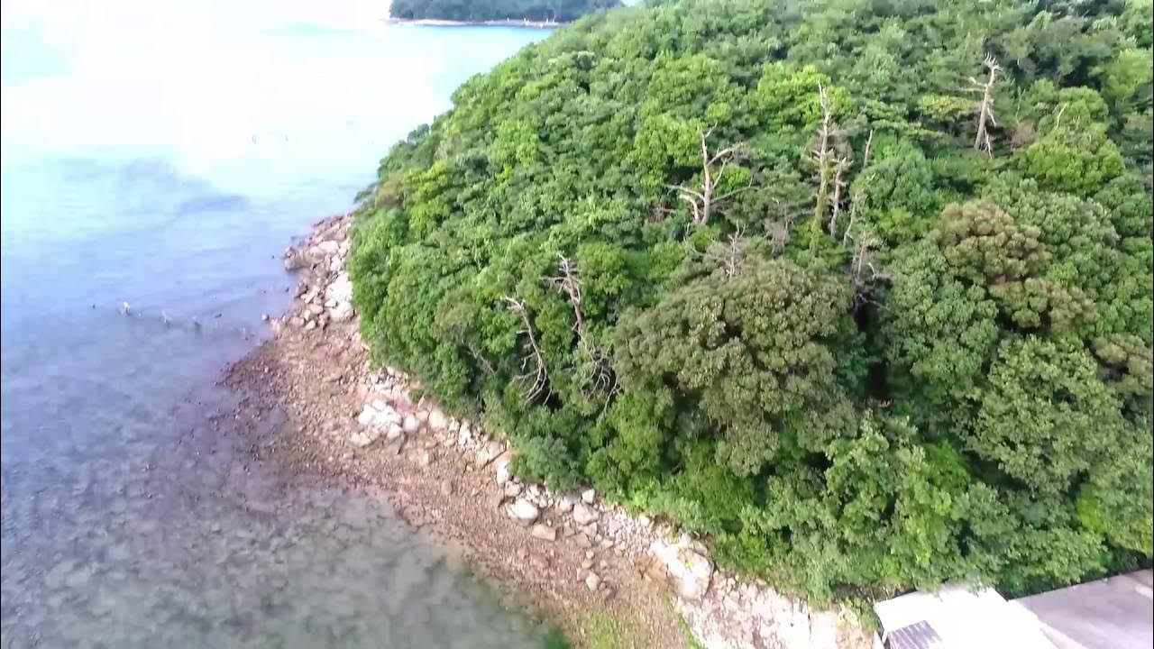 広島のうさぎ島「大久野島」へ！行き方や島の見どころをご紹介 - まっぷるウェブ