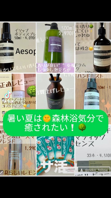 無印のウッディフレグランスに似た香りのおすすめと選び方心地よい木の香りを楽しむ方法