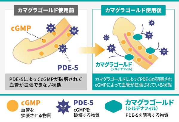 楽天市場】すごい媚薬の通販