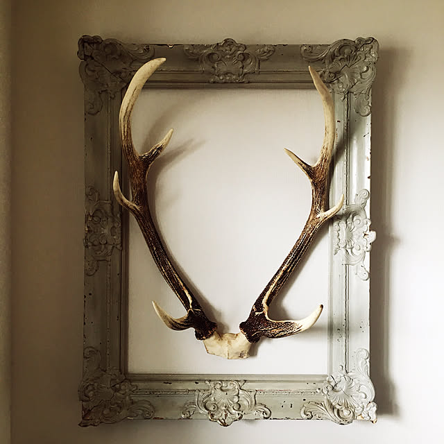 リビングインテリア 鹿の角をリビングに飾るふるものせいかつ図鑑