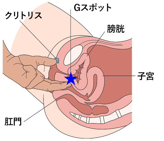 女性の潮吹きのやり方！コツと練習方法 - 夜の保健室