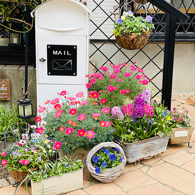 玄関前の玄関鉢植えをおしゃれに！狭い外構でもできるマル秘アイテム！ - エクステリアのある暮らしブログ