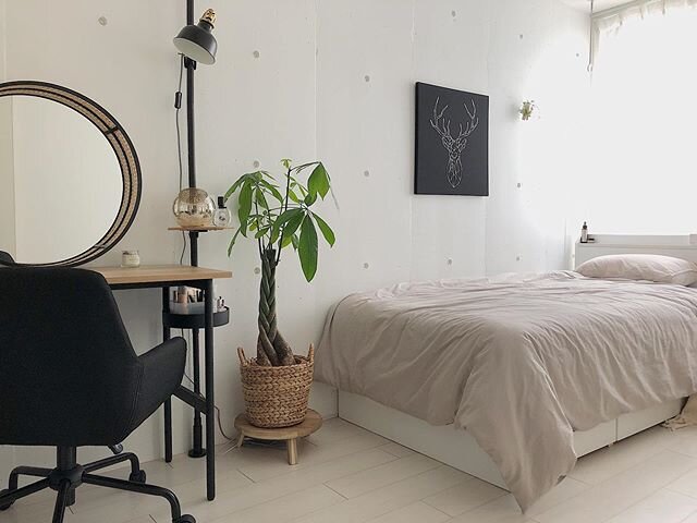 Landmine typeWhat in my room?Landmine type girls' room introductionGothic room for Japan- YouTube