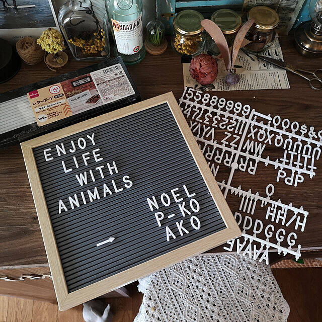 ダイソーのレターボードの売り場はどこ？売り切れや文字だけが欲しい時、どうしたら良い？唯一の弱点も解説します。365ベビフォト