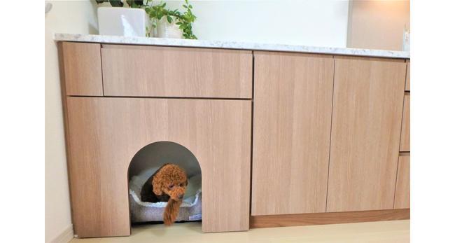 犬も人も快適にくつろげる、スタイリッシュな空間に - マンションリノベーション事例リノベりす