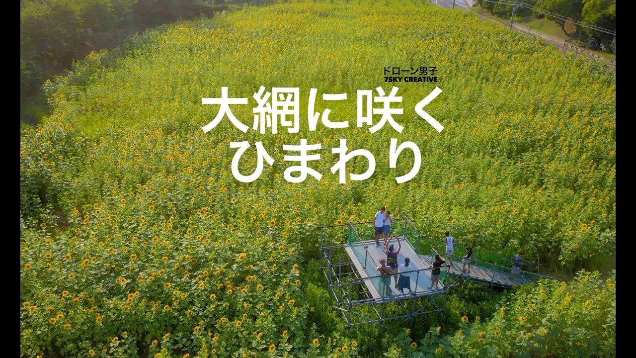 東京・埼玉】6月の花手水 | 青山のスコ