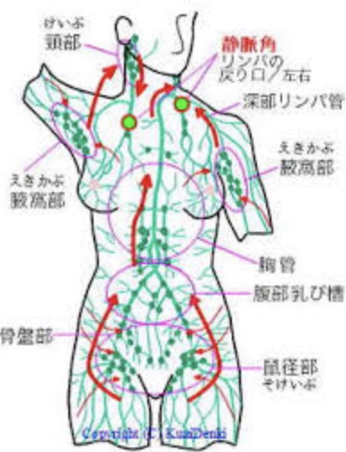 69％割引・男性用】オールハンドリンパマッサージ所要120分 恵比寿 ※1人1枚・11月末迄販売｜アソビュー！