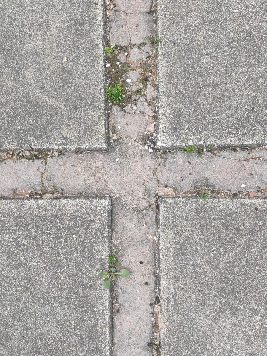 株式会社グッドツーガーデン神戸のエクステリア・外構工事・ガーデンリフォーム、お庭の管理、お庭のことならグッドツーガーデンにおまかせください