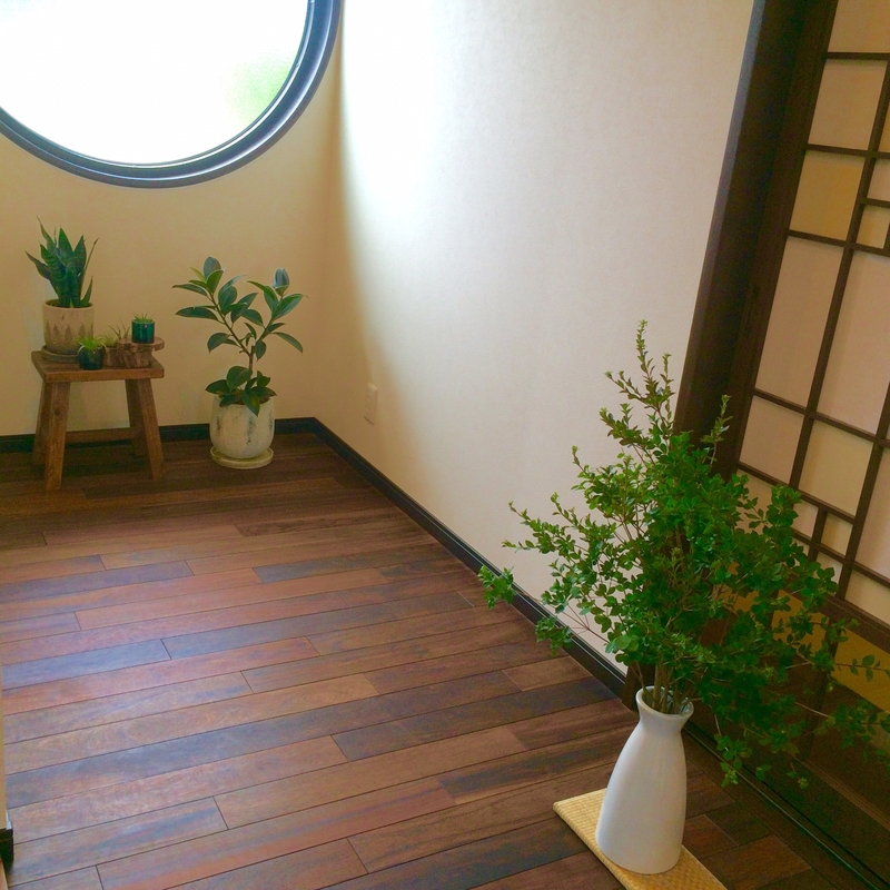 観葉植物 和風 モダン」の人気商品一覧安い商品を通販サイトから探す - 価格.com