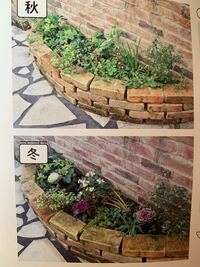 楽天市場 コンクリート の 上 に 花壇の通販