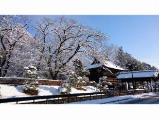 ホテル わかさに関する旅行記・ブログ【フォートラベル】|足利