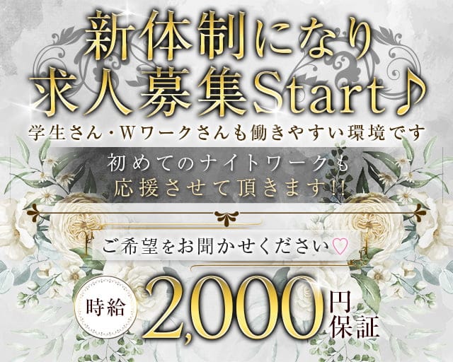 松山・道後温泉・今治のキャバクラおすすめ10選！特徴や料金、営業時間を紹介