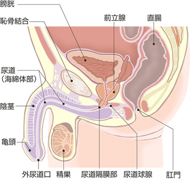 岩澤クリニック公式サイトの疾患情報