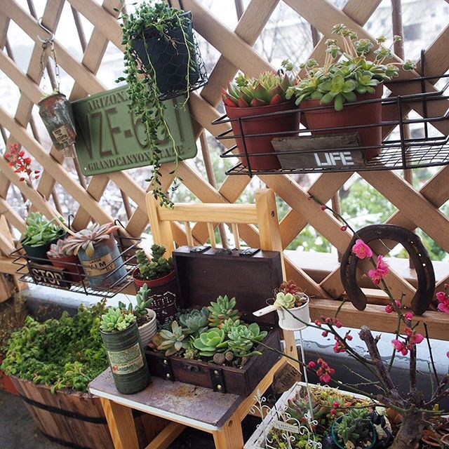 マンションのバルコニーでガーデニングを楽しむための注意点と工夫 - GardenJournalGarden journalガーデンジャーナル