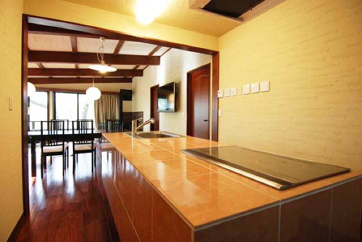 オススメのハンギング観葉植物と吊るし方をわかりやすく解説！賃貸でもOKな方法も有ります