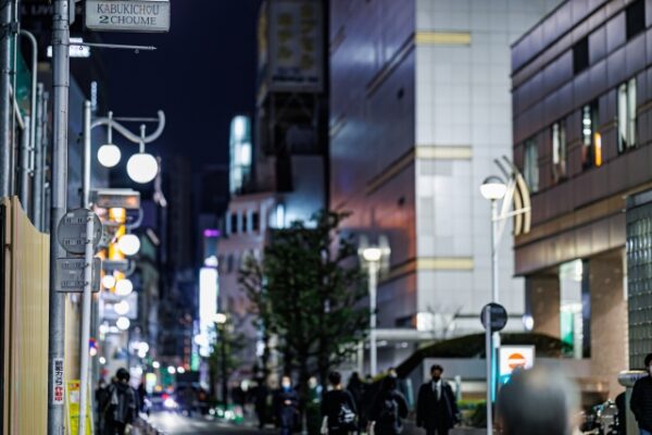 東京国際交流旅行ザ☆パンティ13～新大久保駅百人町 立ちんぼを求めて: ヒマもの