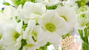 初心者の方におすすめ！少ない花で簡単おしゃれに飾る方法花と笑顔を暮らしのそばに − はなのわ