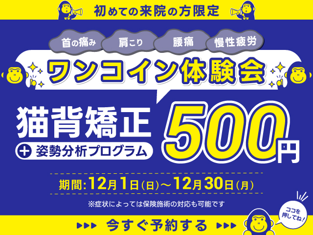 公式】ほねごり接骨院グループ｜接骨矯正+姿勢分析コース