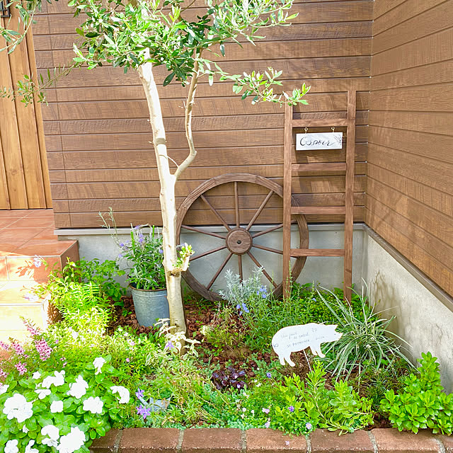 楽天市場 玄関 先 鉢植え おしゃれの通販