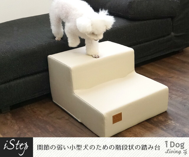 愛犬たちにとっても私たちにとっても 最良の家ができました。 - ecomo エコモ 一級建築士事務所