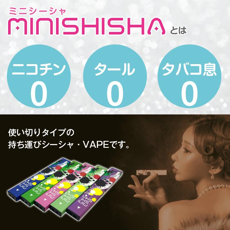 MiNiShiSha ミニシーシャ フレーバー