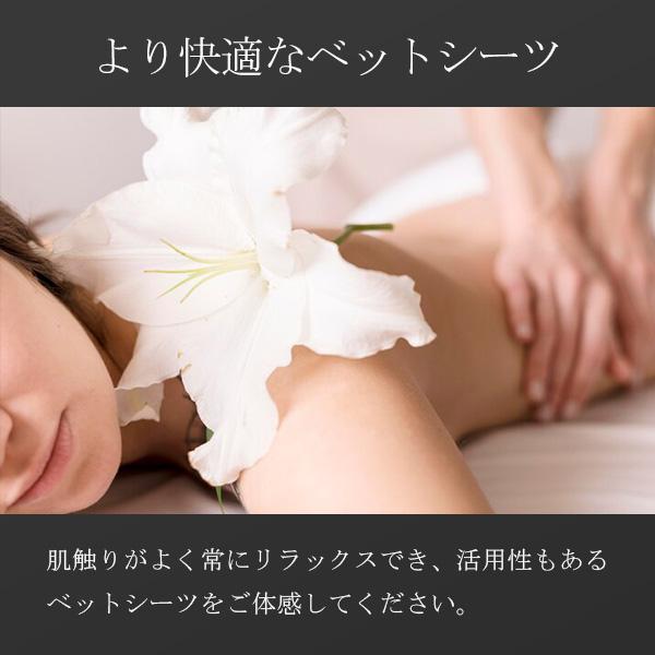 大阪府 堺メンズエステ『LEON SPA』