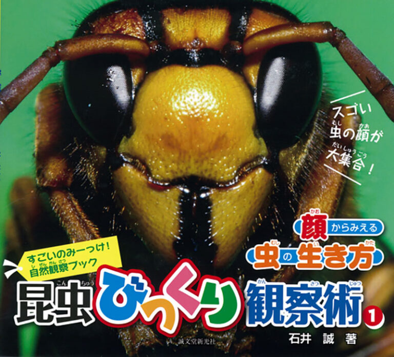 この“顔カバー”は何なのニャ…？」 野良にゃんこ達が3年間謎だったもの 佐々木まことの犬猫脱力写真館 | 佐々木まことの犬猫脱力写真館