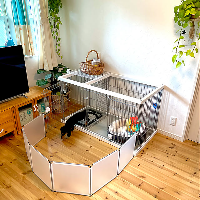狭いリビングでも犬のケージを上手に活用する方法 - 不動産と住まいの教科書
