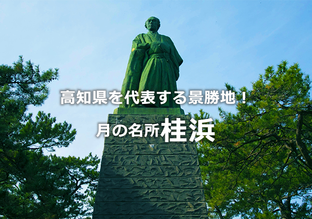 高知県高知市街地のビジネスホテル｜ホテルタウン本町｜公式サイト