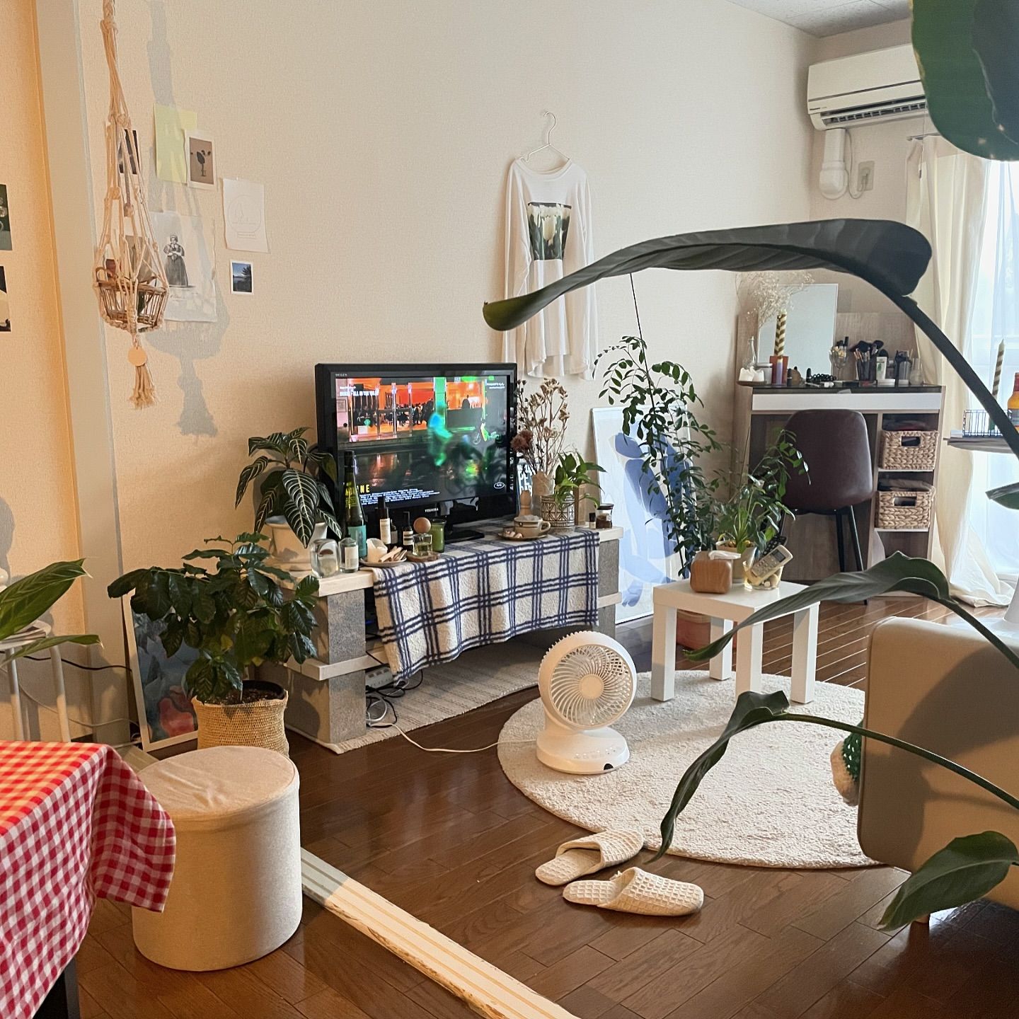 ゴチャゴチャした部屋がちょうどいい。の写真・画像素材-Snapmart スナップマート